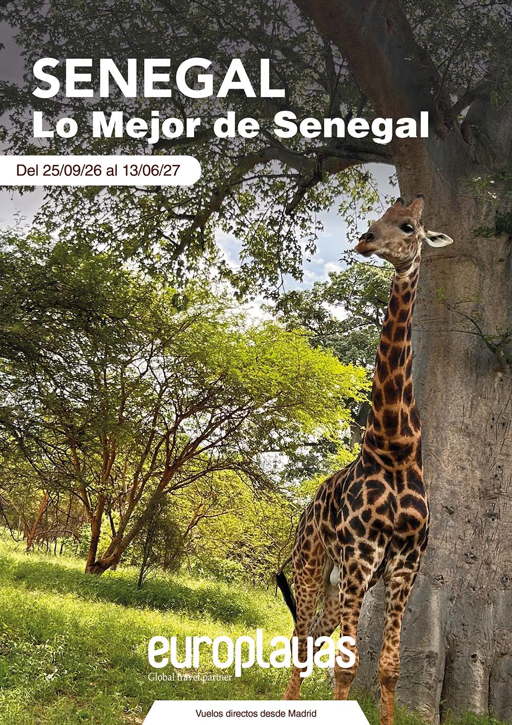 Lo mejor de Senegal