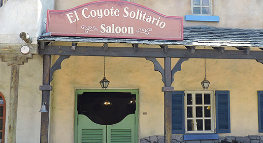 Coyote Solitario